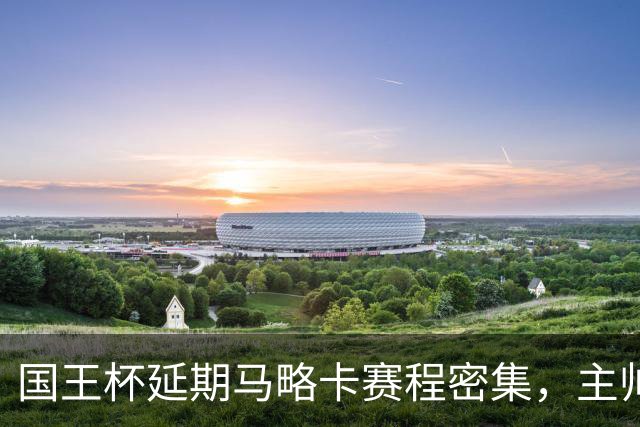 国王杯延期马略卡赛程密集，主帅路易斯-加西亚抱怨不合理