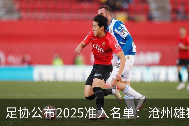 足协公布2025准入名单：沧州雄狮、广州队无缘